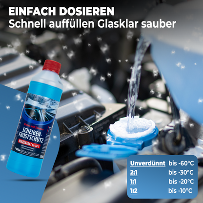 Stahlmann® Auto 2 x Couple Winter Frostschutz Set – Komplettschutz für den Winter